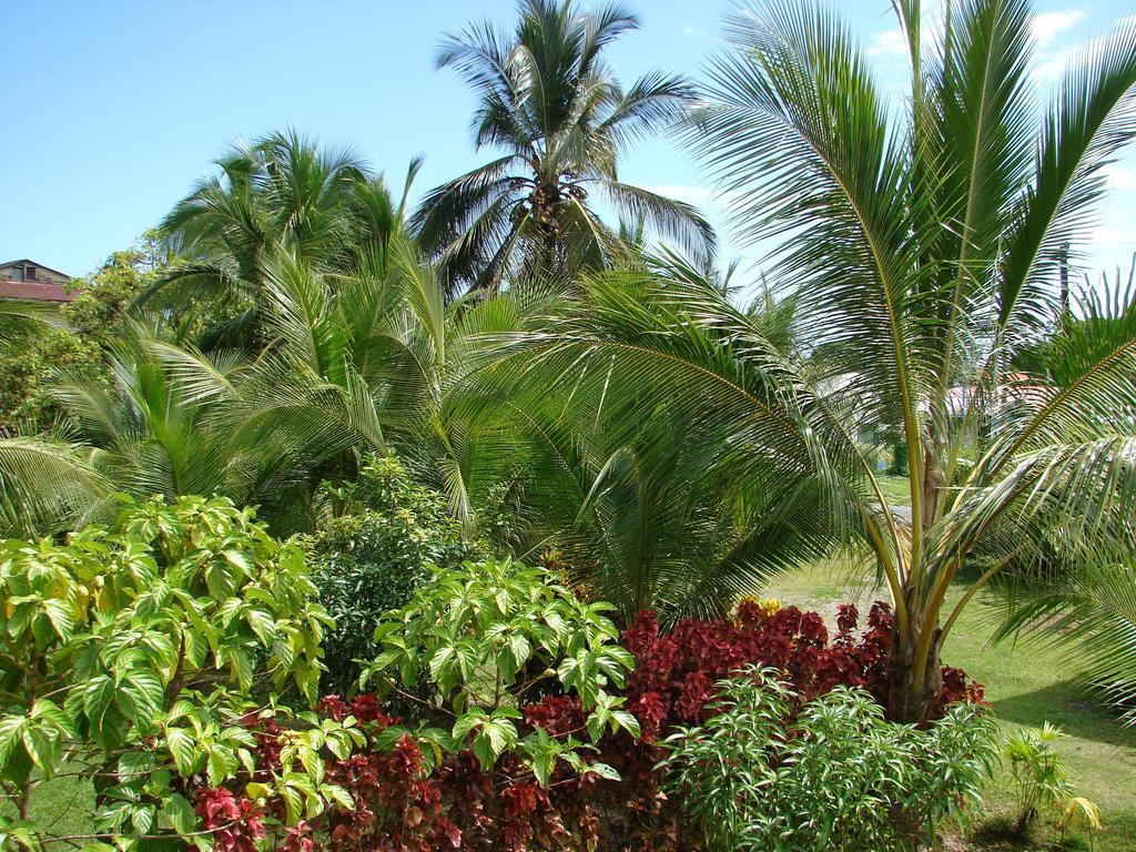 Babilonia Aparthotel Cahuita Rom bilde