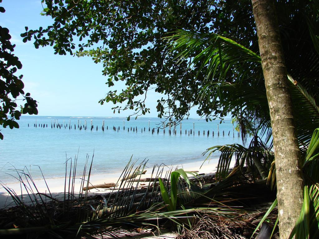 Babilonia Aparthotel Cahuita Eksteriør bilde