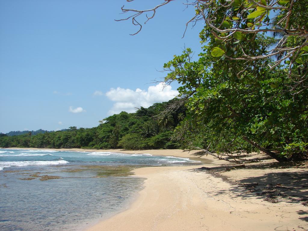 Babilonia Aparthotel Cahuita Eksteriør bilde